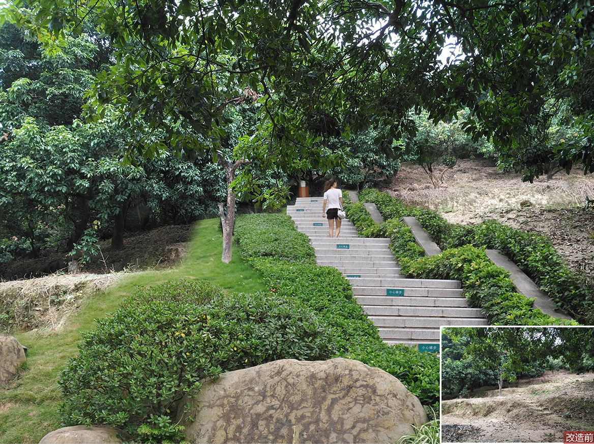 大嶺山鎮(zhèn)大環(huán)村美麗幸福村居建設(shè)行動計劃圖1