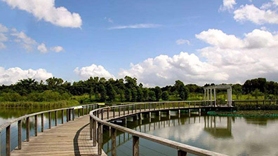 城市觀光濕地公園規(guī)劃設(shè)計的4點原則
