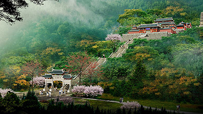 植物造景在風景園林設(shè)計中的應用意義